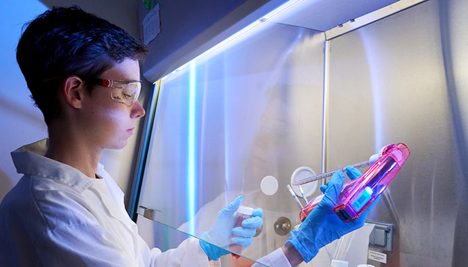 Student works in a lab under a vent hood with a pipette.