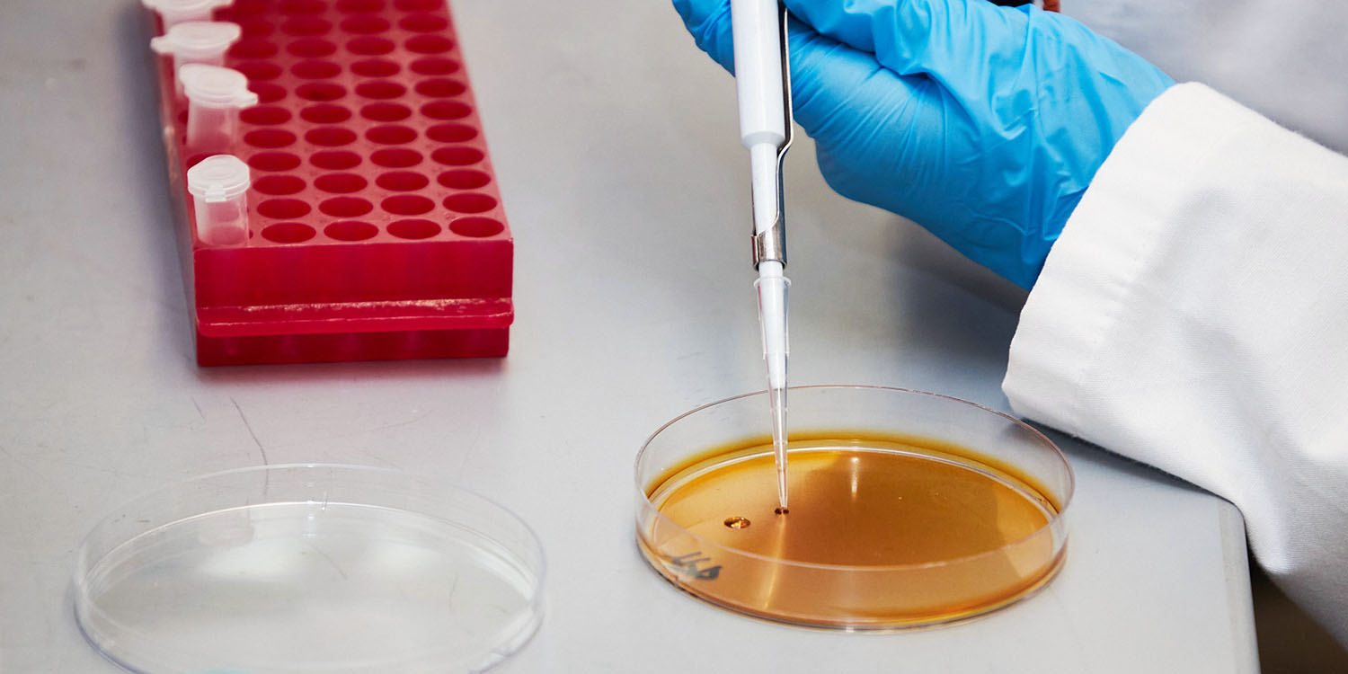 A person’s gloved hand pipetting into a petri dish in a lab setting.