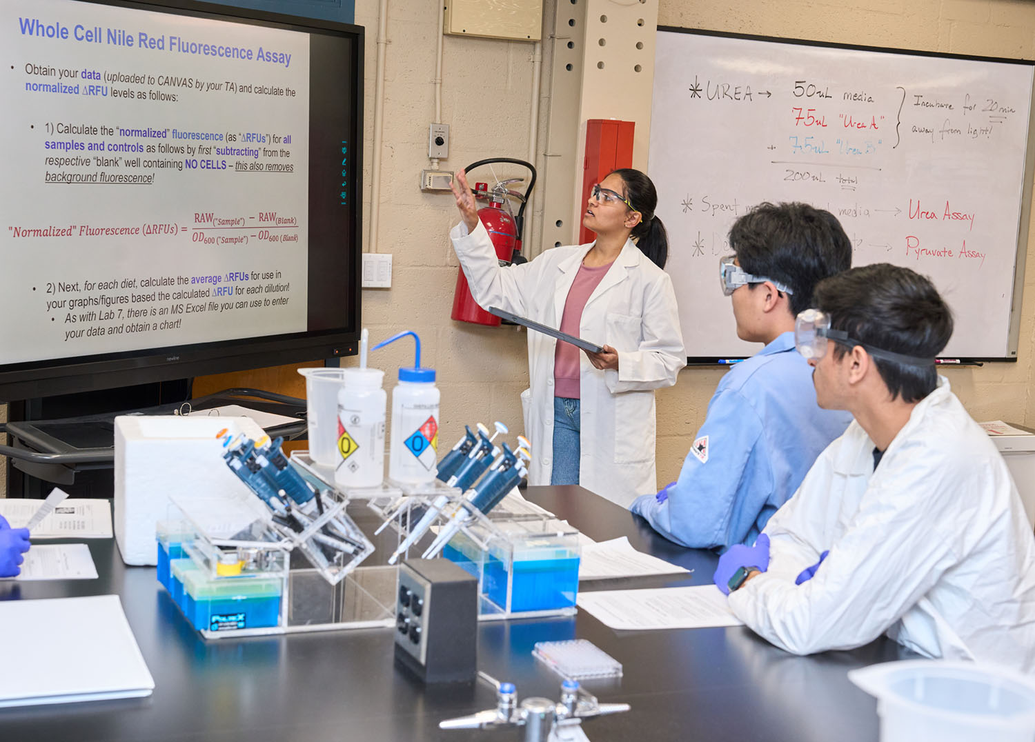 Students in a lab looking at a projected slide while a woman, standing, leads the instruction.