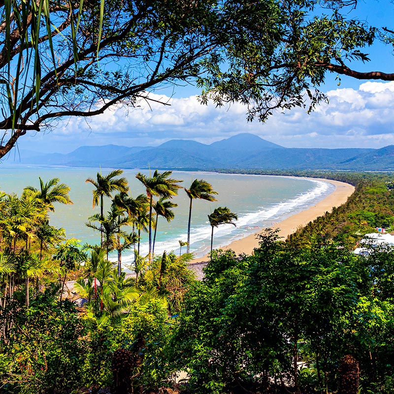 Ocean or body of water in background with palm trees and foliage in foreground.