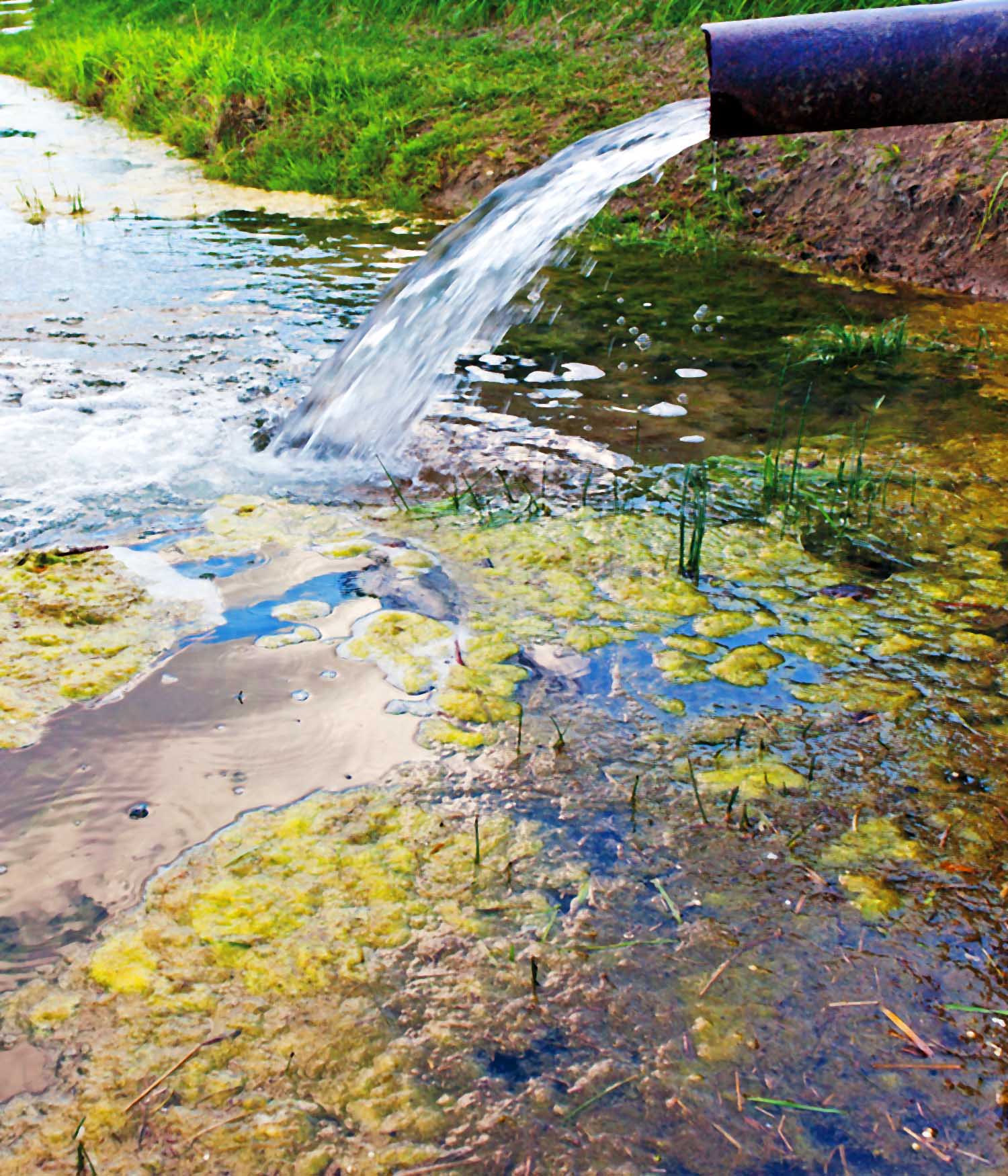 Pipe draining into lake or pond