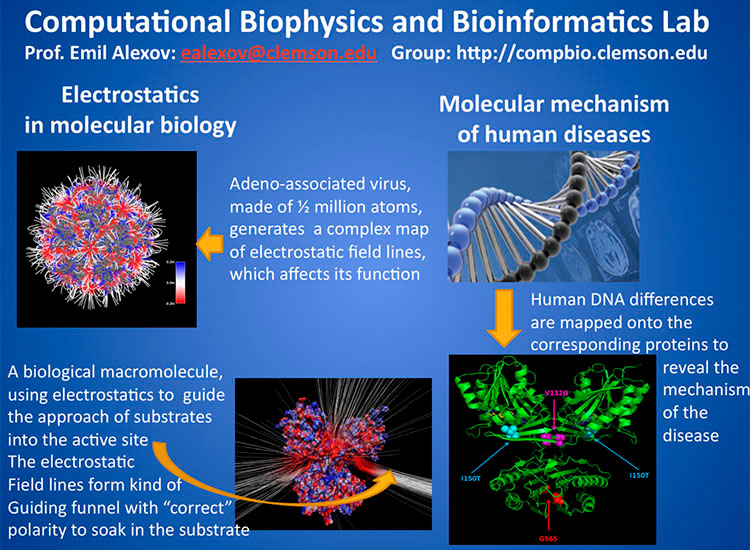 Poster of computational biophysics and bioinformatics