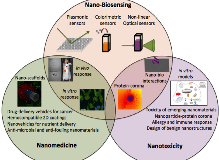 Image of scientific poster.