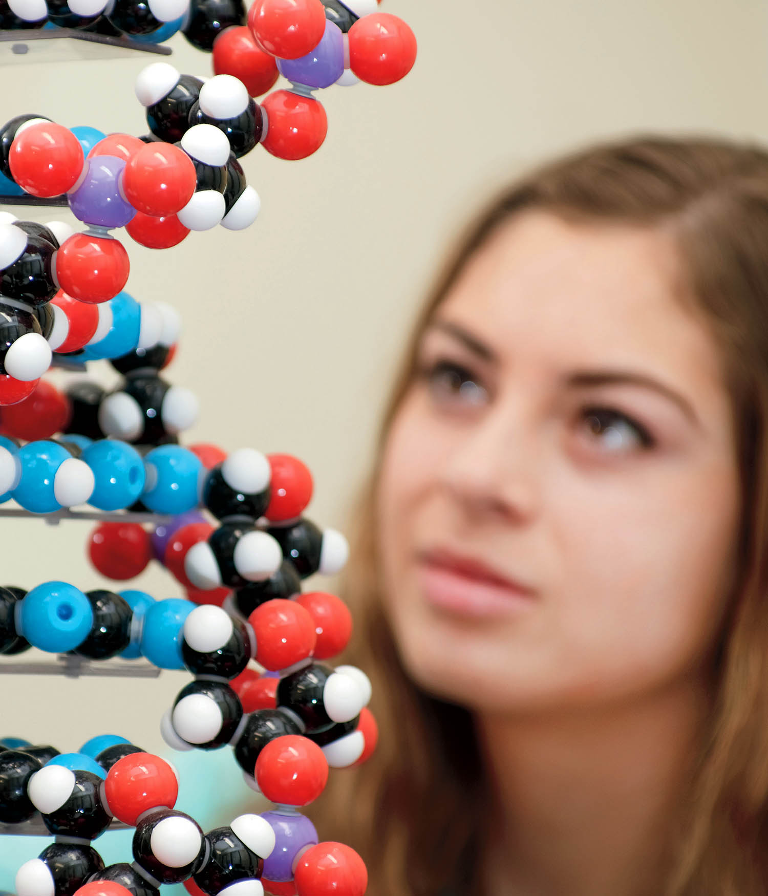 Girl looking at DNA model on stand