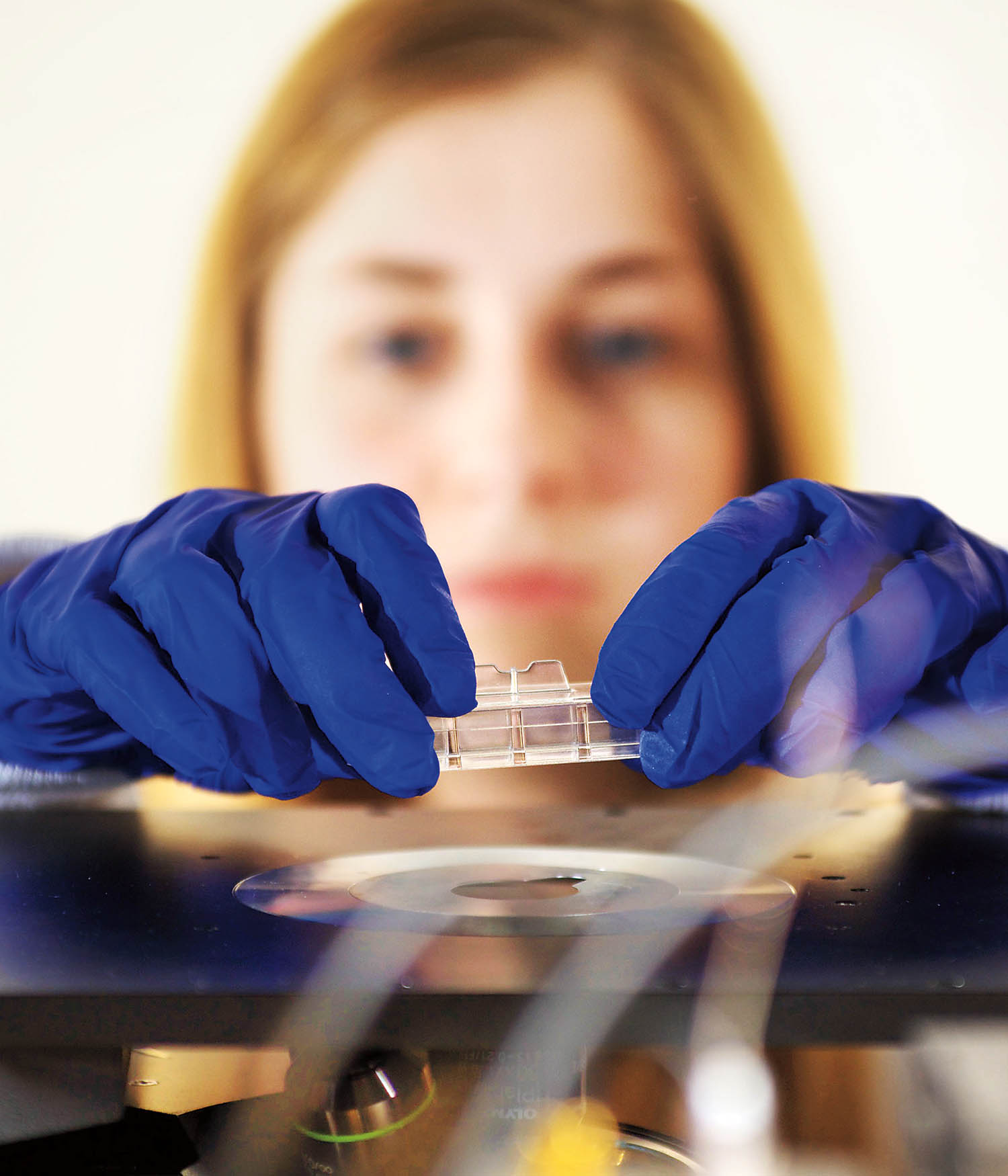 Student mounting slide on microscope