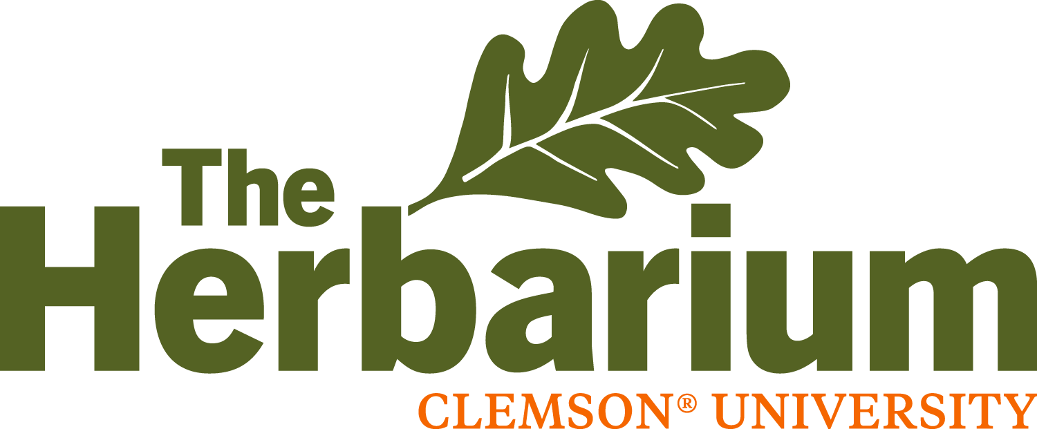 Logo for The Herbarium - Clemson University, with leaf at top.