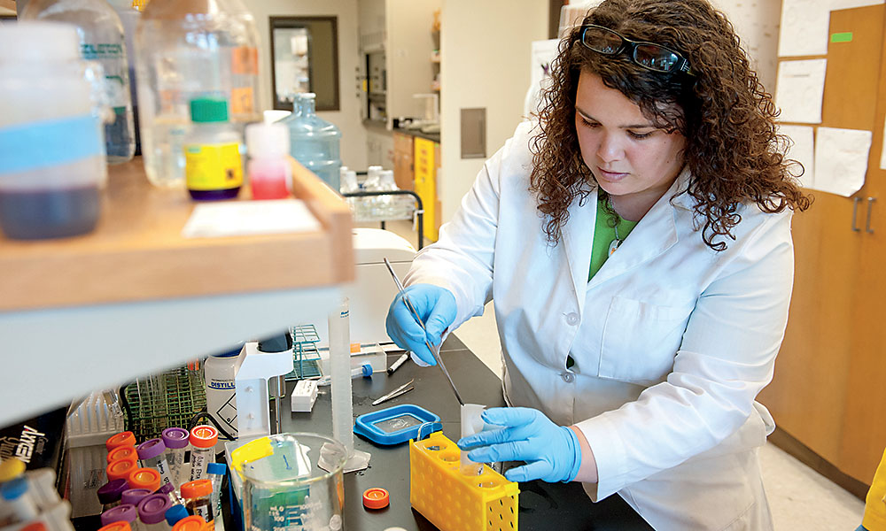 Student working in lab.