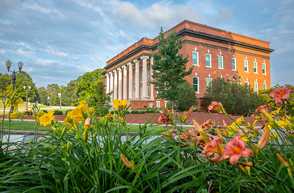 Orange and yellow lilies with Sikes hall in the background 