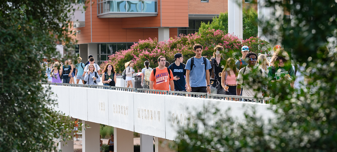 Students walking on Library Bridge Clemson University