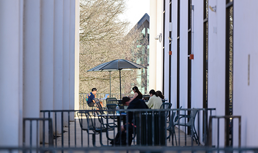 Students studying on Clemson's campus