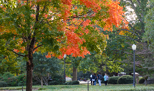 Students walk on Clemson's campus