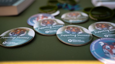 Supporting Survivors Buttons