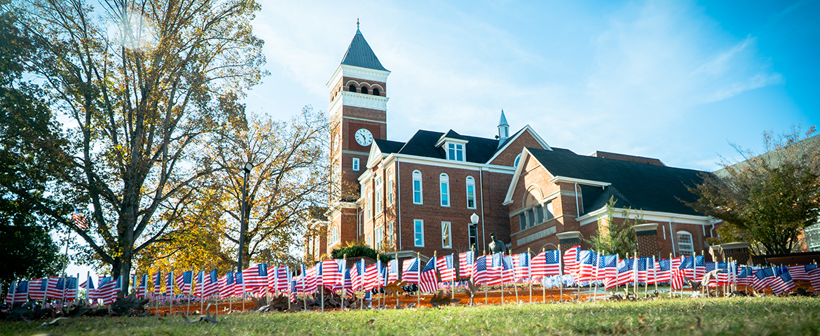 Flags on Bowan Field