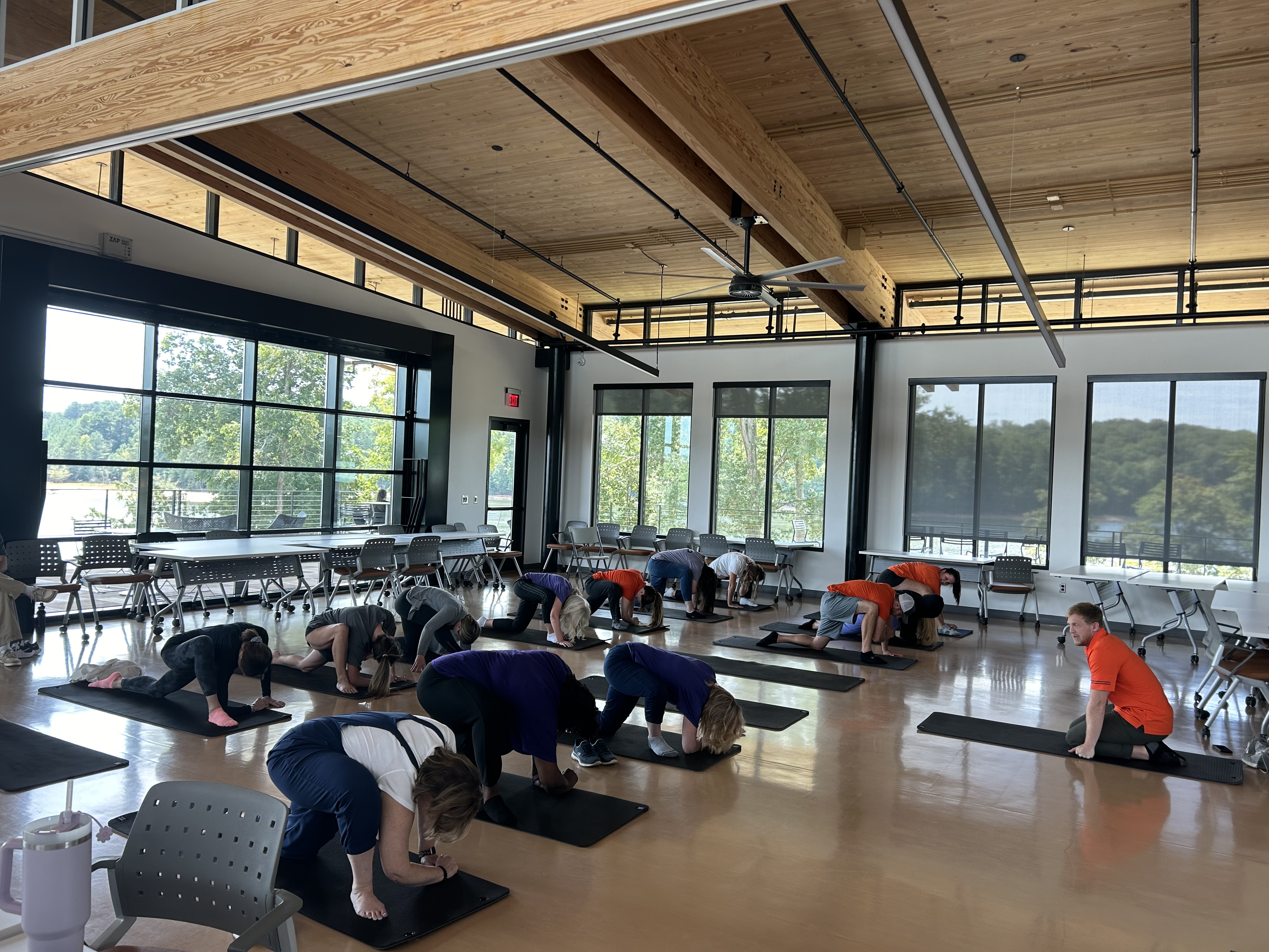 people on yoga mats doing a group stretching exercise
