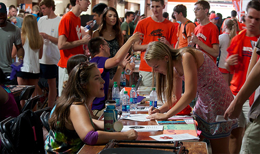 Students at Tiger Prowl