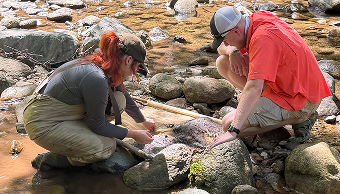 Clemson student experimenting with shallow stream, examining the water and stones to collect a sample.