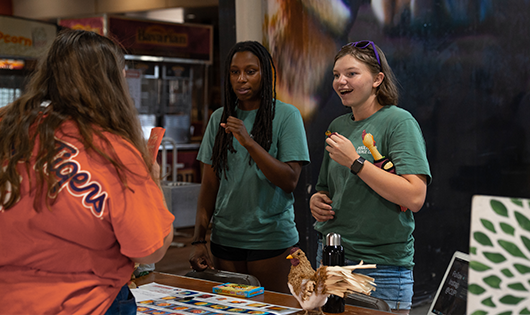 Students at Tiger Prowl