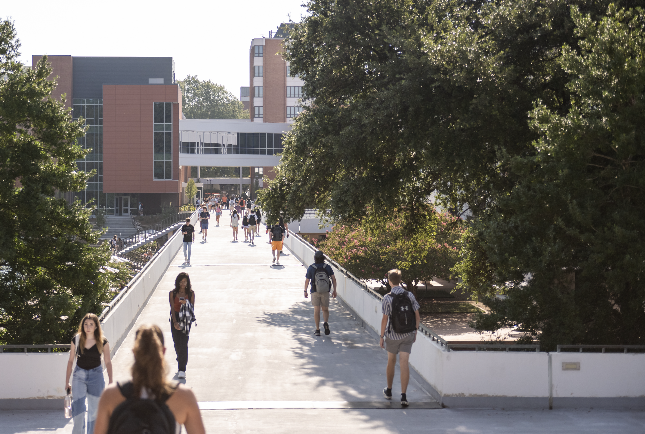 A group of students walk across Cooper Library bridge