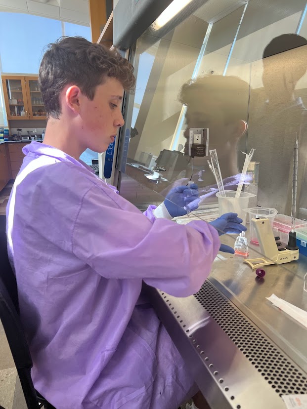 Student working in a lab