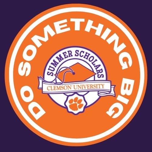 do-something-big-logo-002.jpg