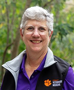 Dr. Patty Scharko, DVM, MPH, Diplomate ACVPM