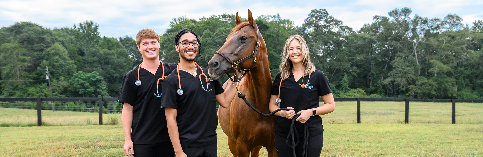 Students wearing scrubs in a field with a horse.