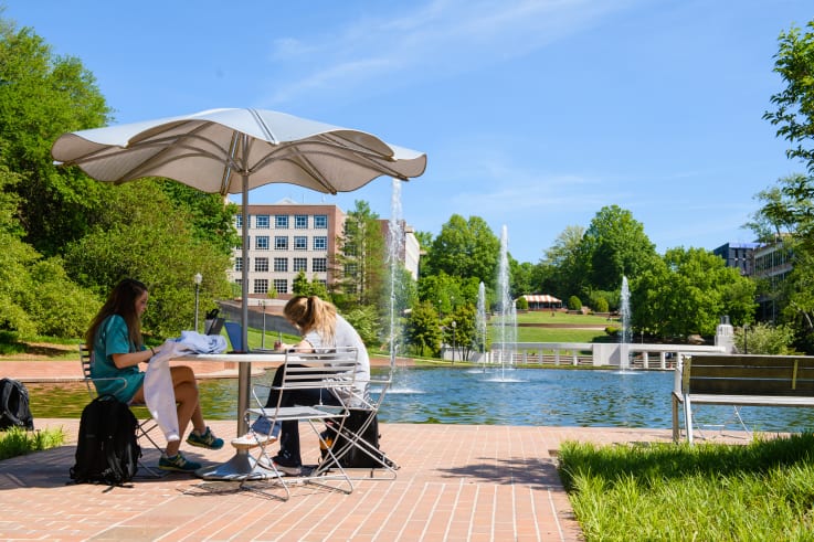 Students study outside the Cooper Library by the Reflection Pond.