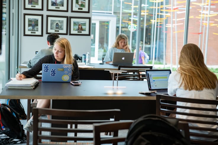Students in the honors college study inside a dorm study room